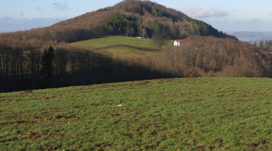 Stellberg (727 m) near Wolferts in der Rhön Mountains.