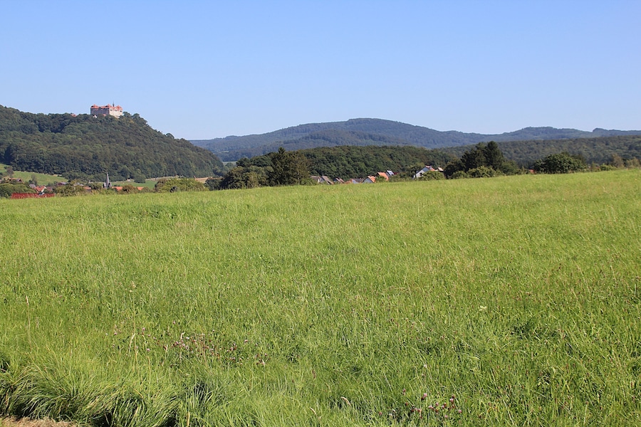 A green field with a castle on a hill in the background.
