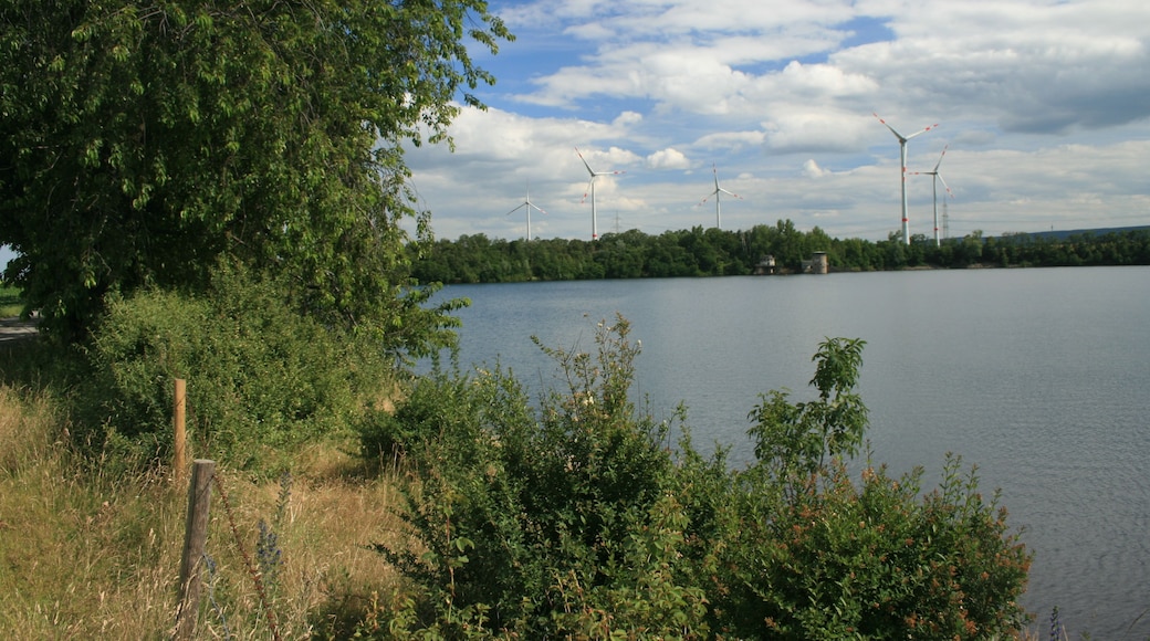 Nordufer des Lucherberger Sees, NSG DN-005