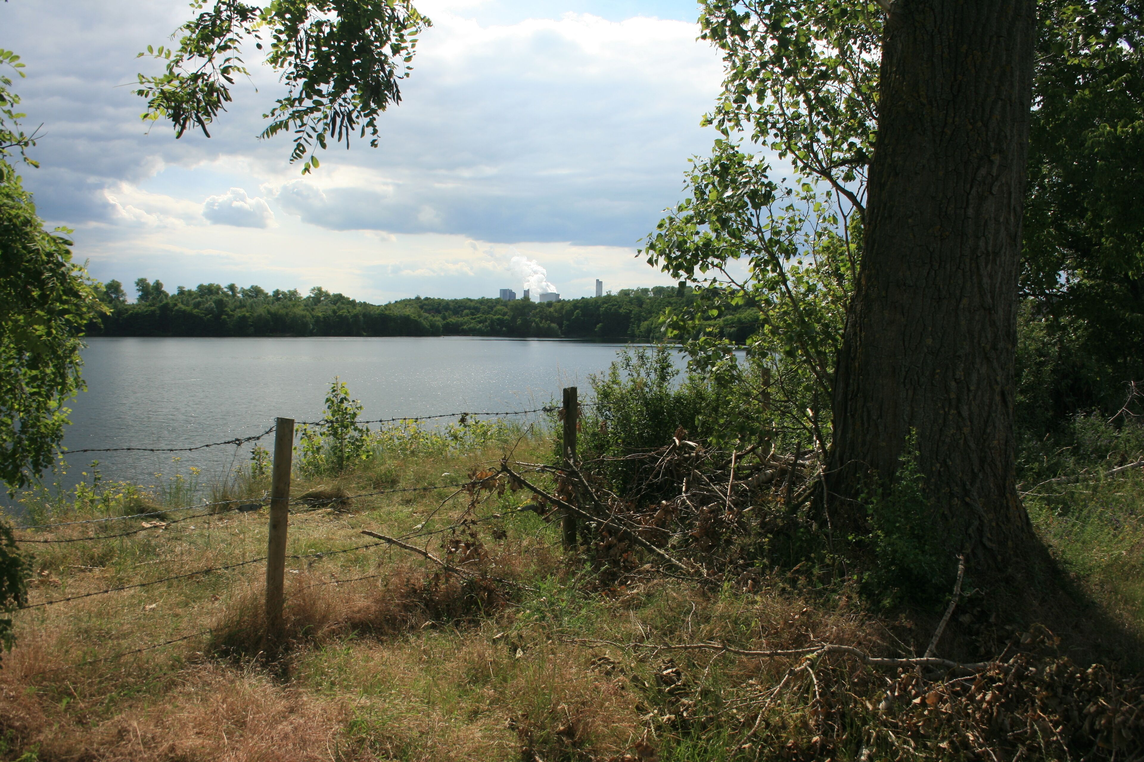 Nordufer des Lucherberger Sees, NSG DN-005