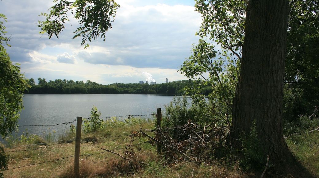 Nordufer des Lucherberger Sees, NSG DN-005