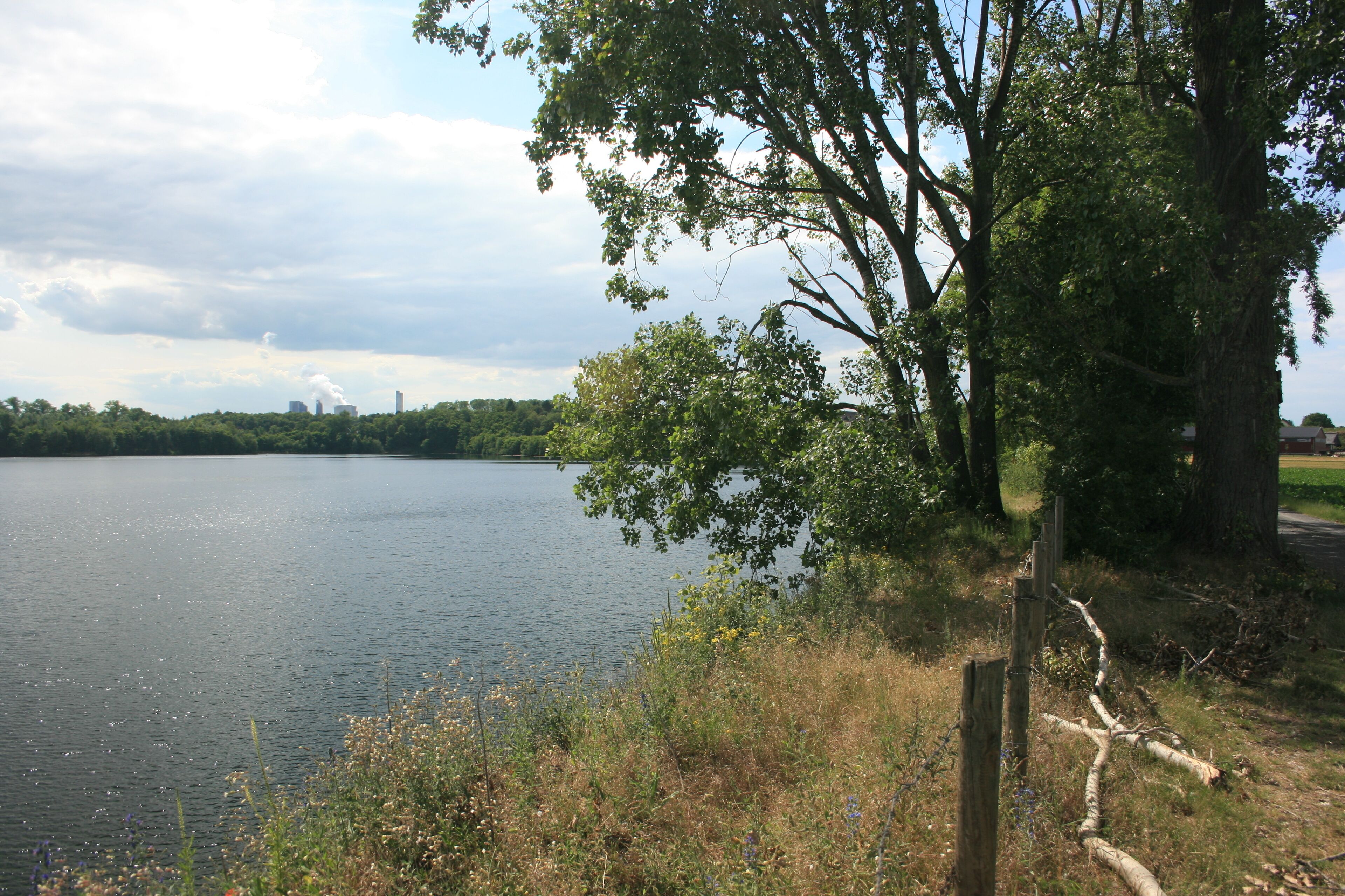 Nordufer des Lucherberger Sees, NSG DN-005