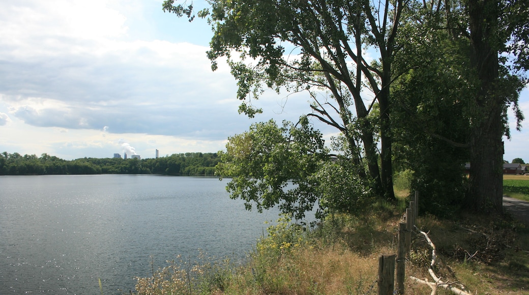 Nordufer des Lucherberger Sees, NSG DN-005