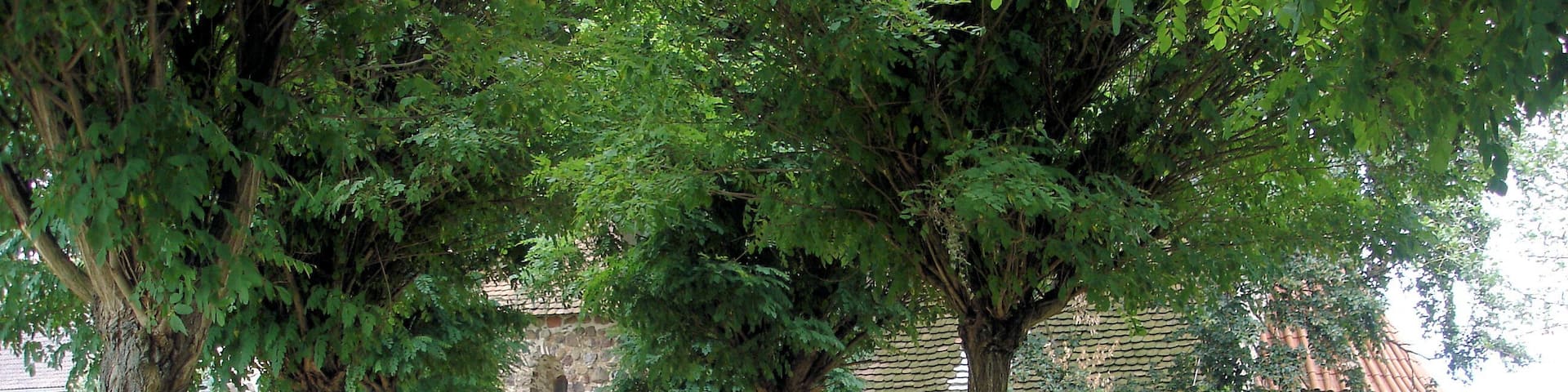 Church in Mahlsdorf, Saxony-Anhalt, Germany