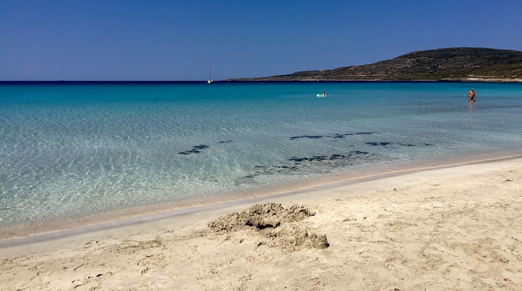 On the Simos beach of Elafonisos