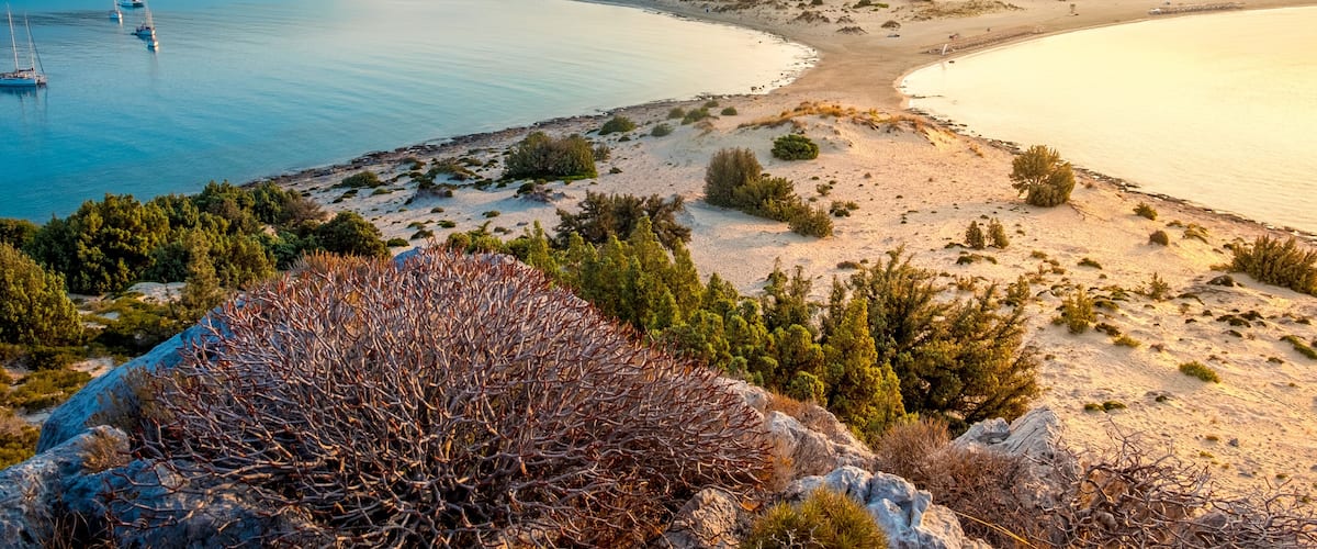 A coastal landscape with a sandy beach, sparse vegetation, and a calm sea with boats.