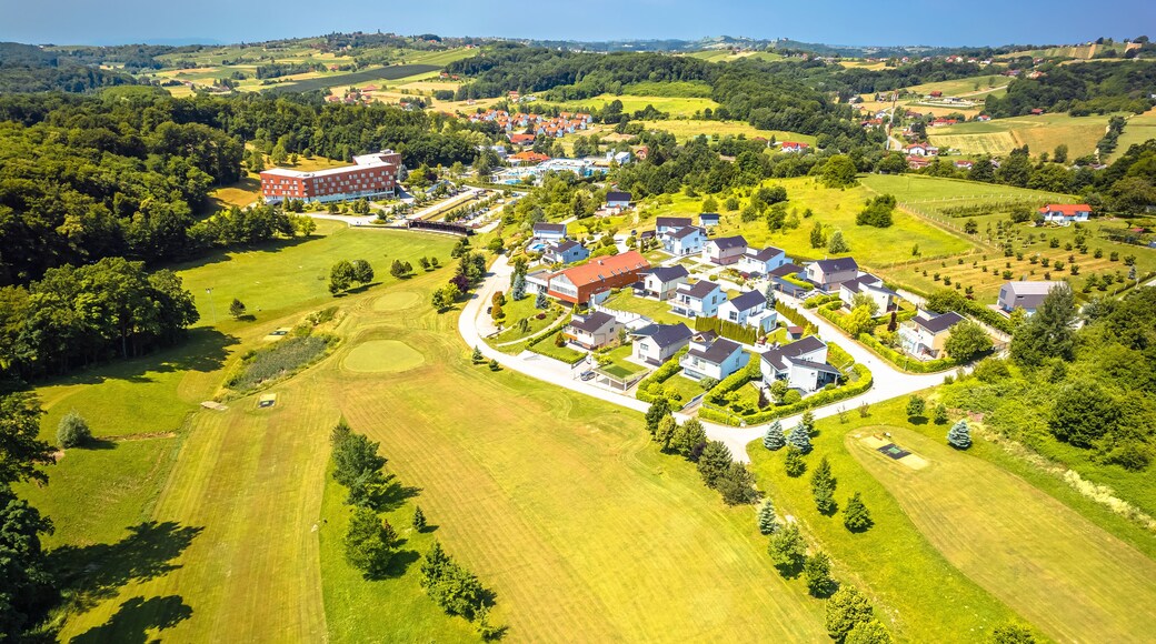 Sveti Martin na Muri