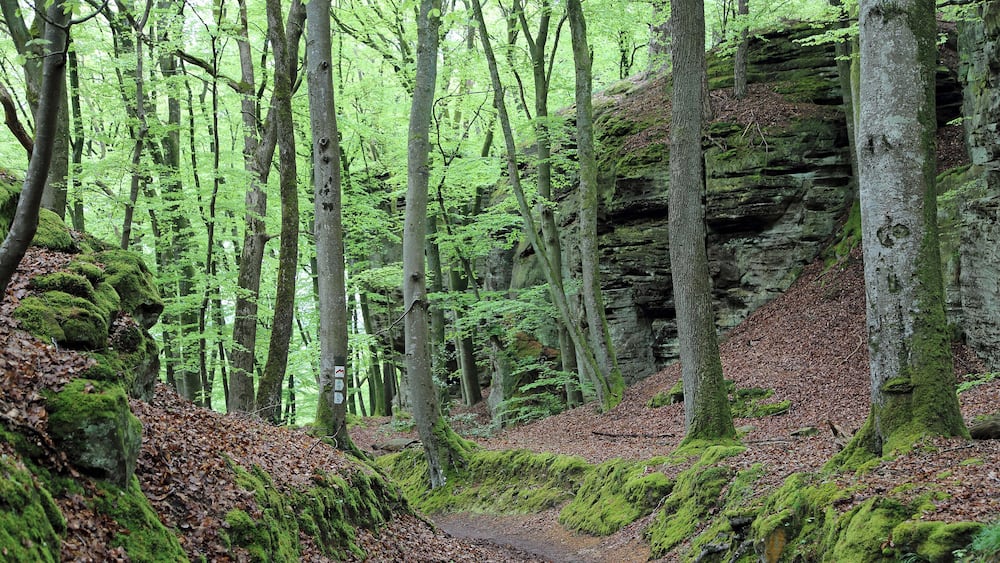 Berdorf (Grand Duchy of Luxembourg): Mullerthal