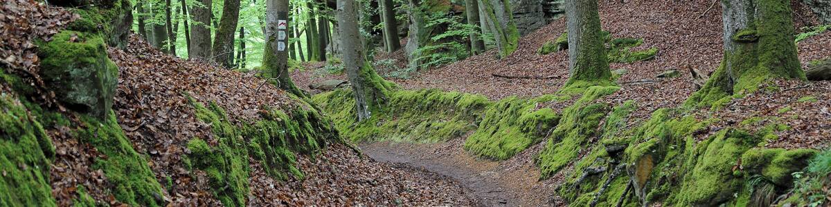 Berdorf (Grand Duchy of Luxembourg): Mullerthal