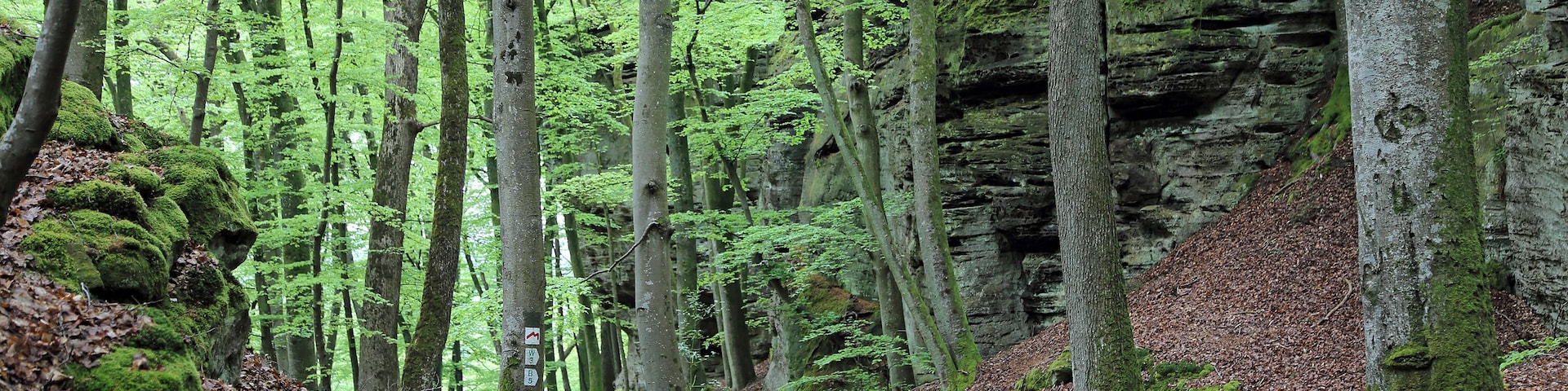Berdorf (Grand Duchy of Luxembourg): Mullerthal