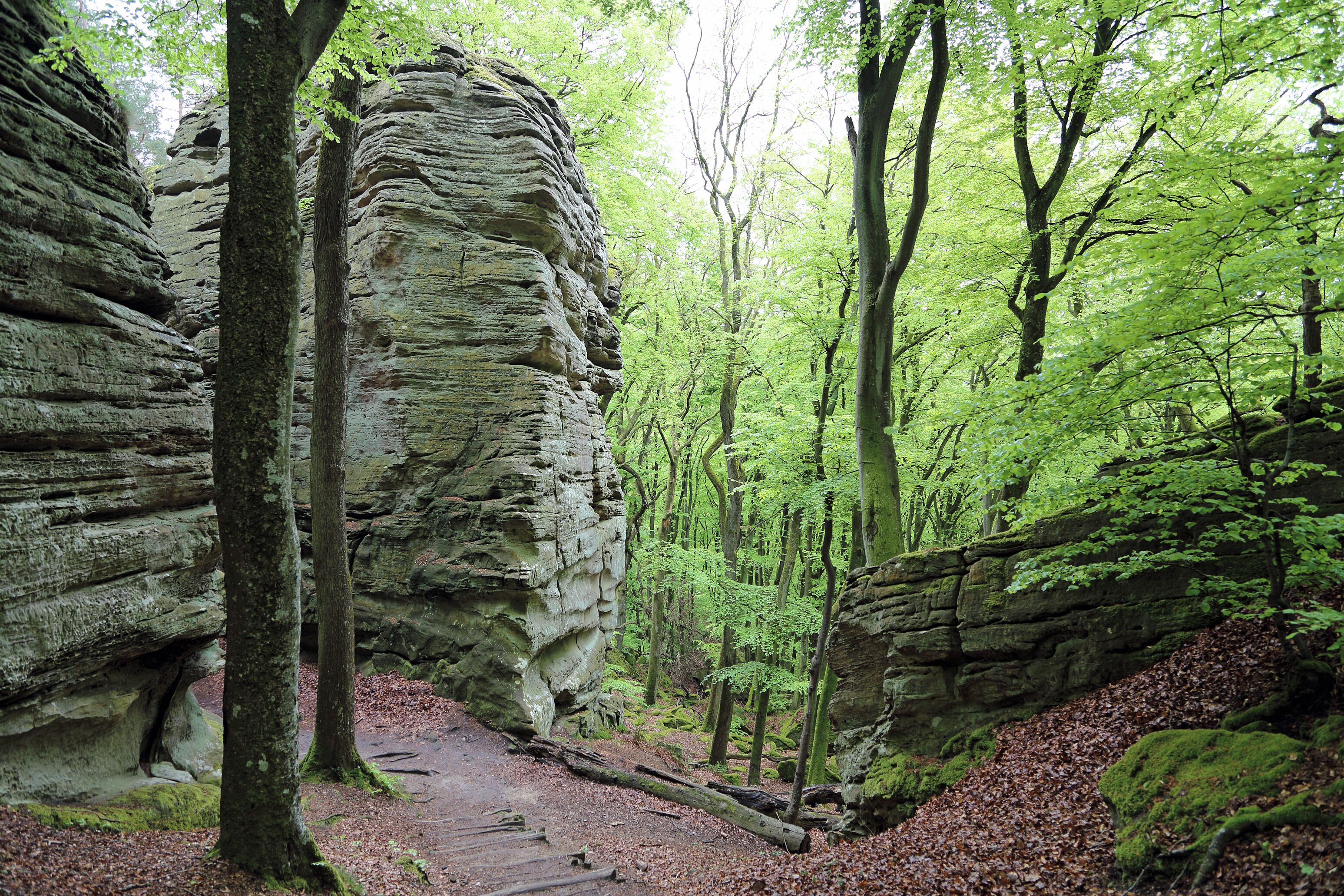Berdorf (Grand Duchy of Luxembourg): Mullerthal