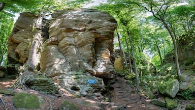 Rock formations at Berdorf in Luxembourg during summer on Mullerthal hiking trail