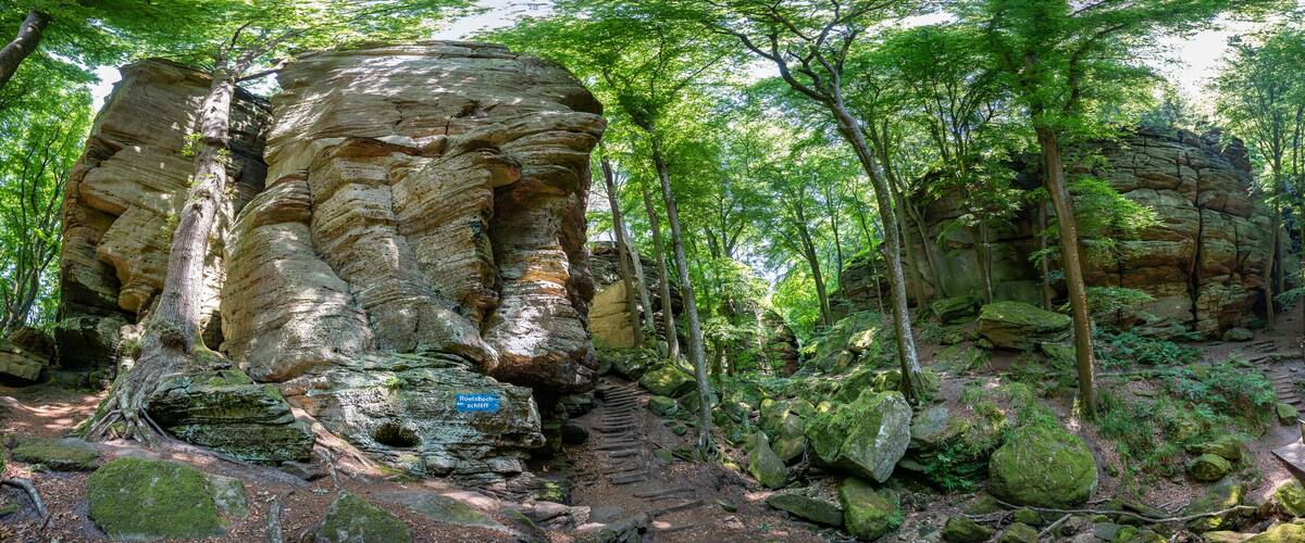 A forested area with large rock formations and a wooden bridge.