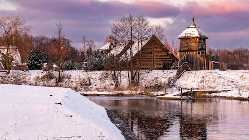 Wooden gate and fort. Winter countryside