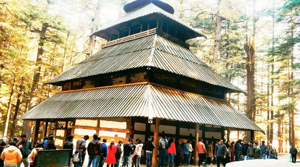 Religion in Mountains!
#hadimbatemple #intothewoods #manali #himachalpradesh #justsomemountainthings