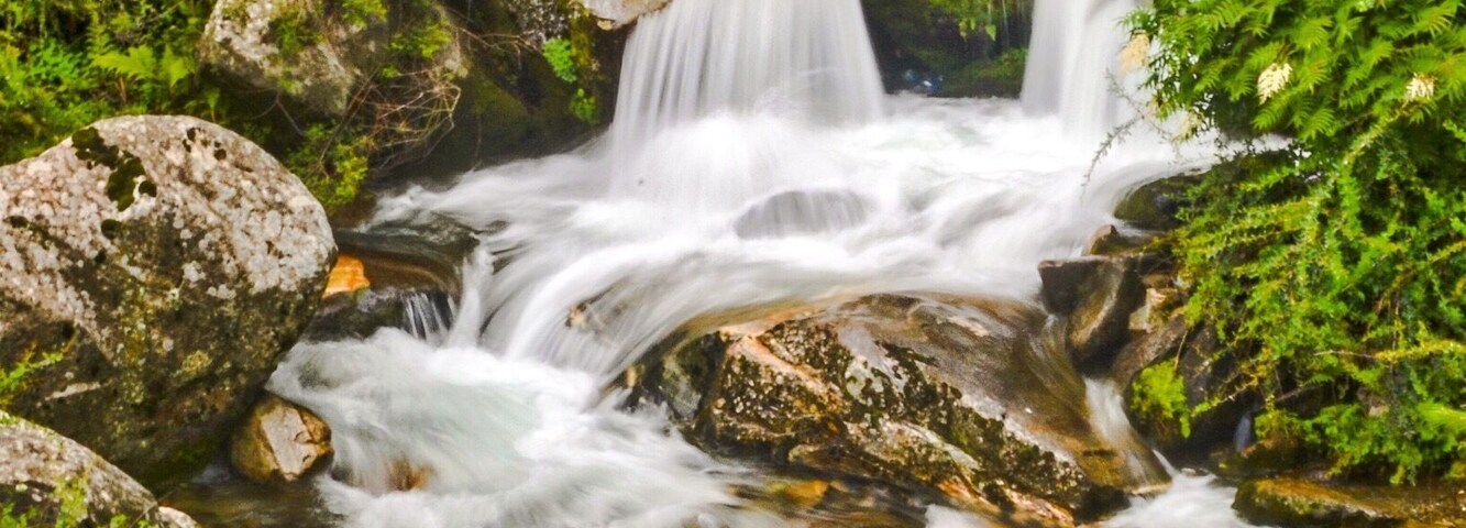 A cascading waterfall surrounded by lush greenery and rocks.