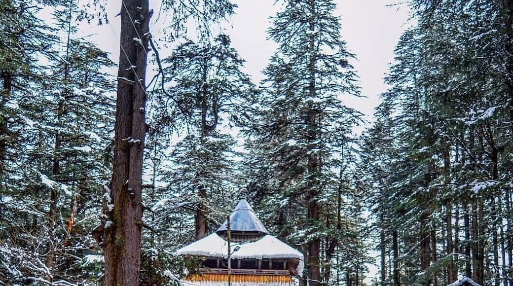 Located amidst the snow-covered hills of Manali, the Hadimba Temple is a unique shrine dedicated to Hidimba Devi, who was the wife of Bhima and mother of Ghatothkach. Surrounded by gorgeous cedar forests, this beautiful shrine is built on a rock which is believed to be in the image of goddess Hidimba herself. The construction style of the Hidimba Devi temple is entirely different from that of any of the other temples, with its wooden doorways, walls, and cone-shaped roof. This temple is a fitting dedication to its presiding deity Hadimba.
The magnificent Hidimba Devi Temple holds monumental importance to Hindu pilgrims as it is a part of the Hindu epic Mahabharata. Even apart from that, the Hadimba Temple is no less of wonder to nature lovers. Packed away into the laps of nature, this temple offers a quiet getaway to nature and peace lovers. Being quite a quaint story in itself, the Hidimba Temple is slowly but steadily attracting tourists from all over the country to its doors where history and heritage meet natural beauty.
