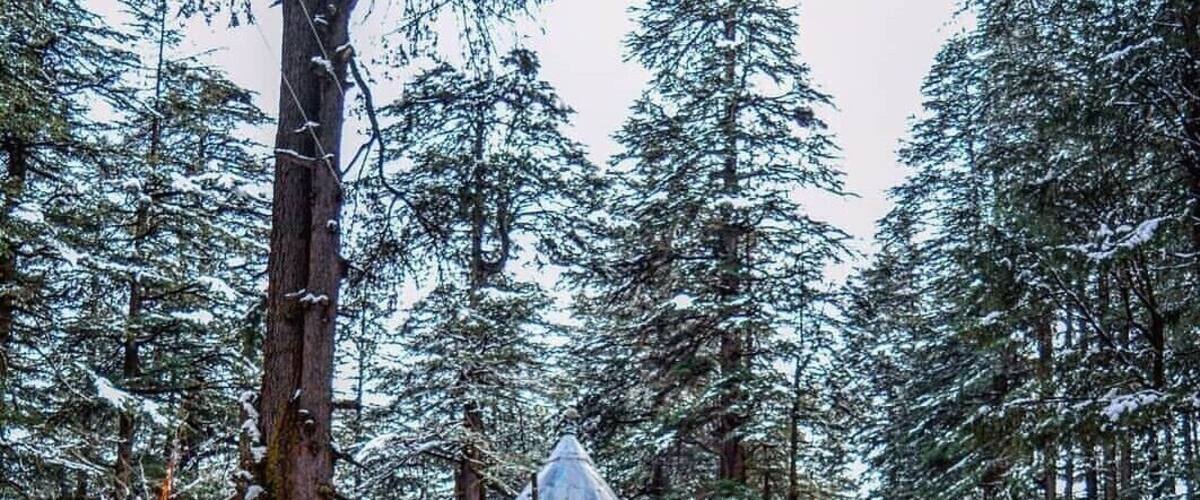 Located amidst the snow-covered hills of Manali, the Hadimba Temple is a unique shrine dedicated to Hidimba Devi, who was the wife of Bhima and mother of Ghatothkach. Surrounded by gorgeous cedar forests, this beautiful shrine is built on a rock which is believed to be in the image of goddess Hidimba herself. The construction style of the Hidimba Devi temple is entirely different from that of any of the other temples, with its wooden doorways, walls, and cone-shaped roof. This temple is a fitting dedication to its presiding deity Hadimba.
The magnificent Hidimba Devi Temple holds monumental importance to Hindu pilgrims as it is a part of the Hindu epic Mahabharata. Even apart from that, the Hadimba Temple is no less of wonder to nature lovers. Packed away into the laps of nature, this temple offers a quiet getaway to nature and peace lovers. Being quite a quaint story in itself, the Hidimba Temple is slowly but steadily attracting tourists from all over the country to its doors where history and heritage meet natural beauty.