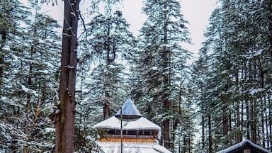 A snow-covered forest with a traditional wooden structure and a small building.