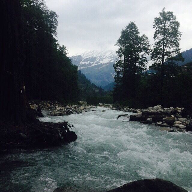 A fast-flowing river with rocky banks, surrounded by dense forest and snow-capped mountains in the background.