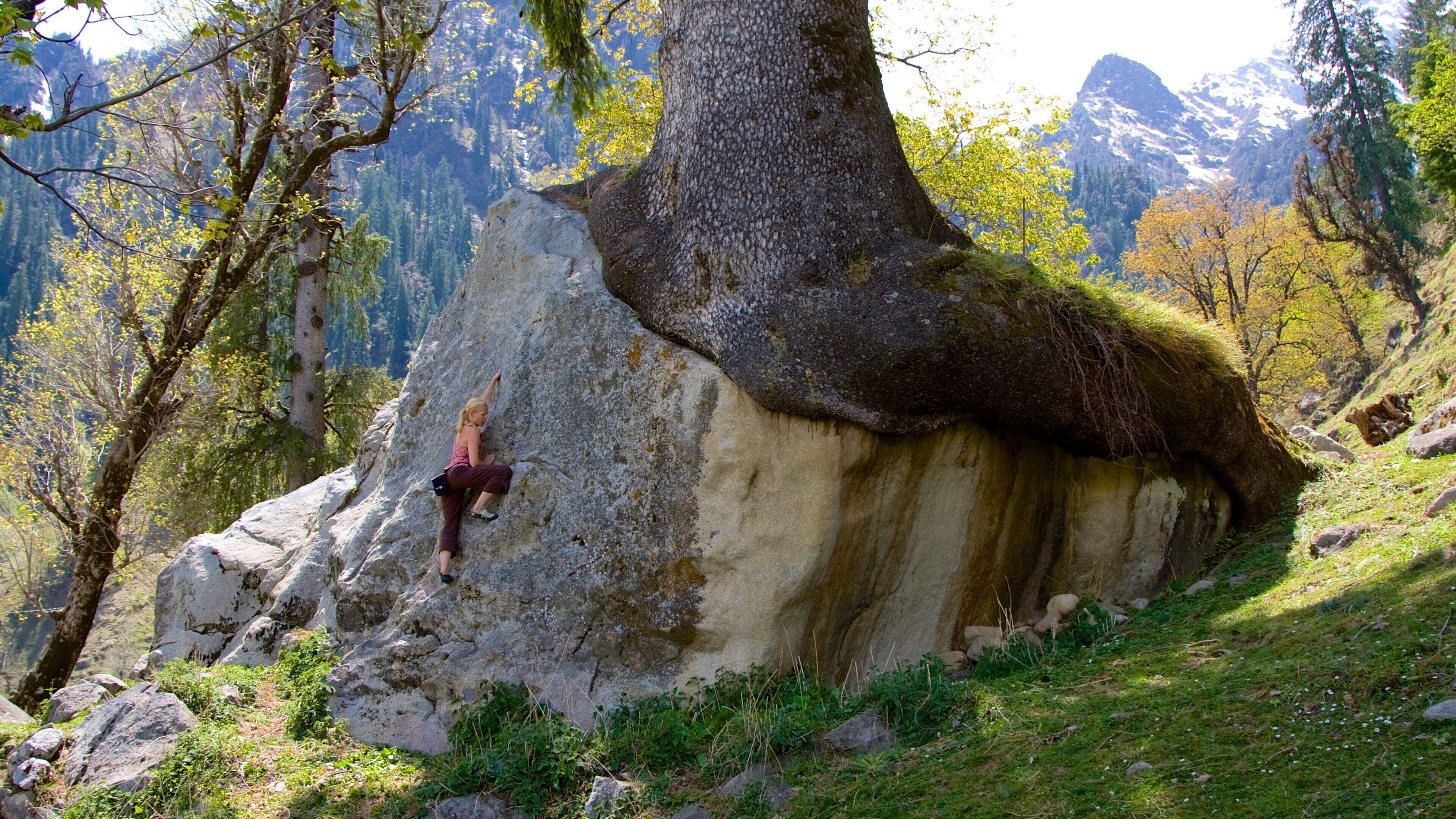 Manali featuring tranquil scenes