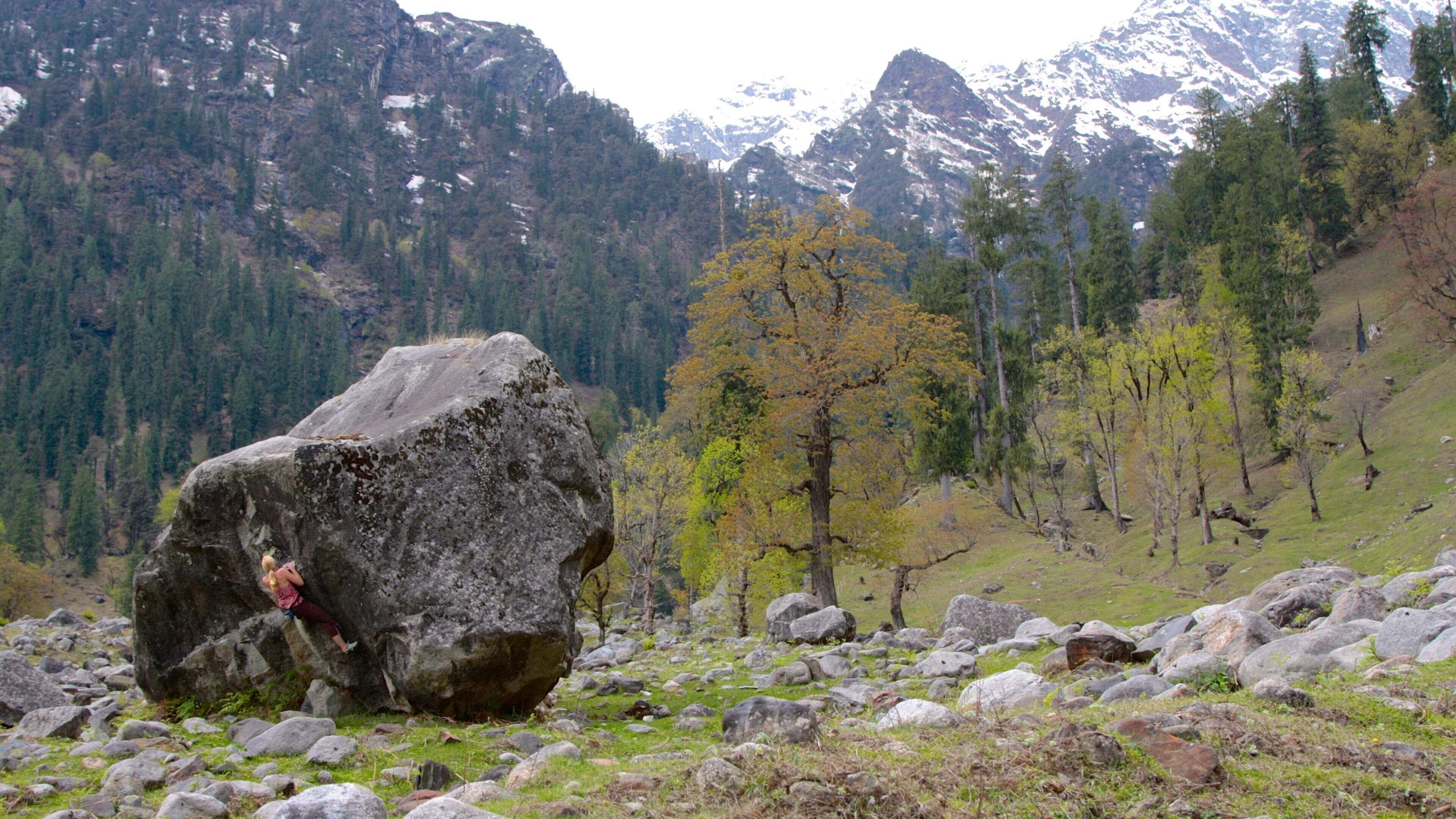 マナリ どの含み 山々 と 静かな風景