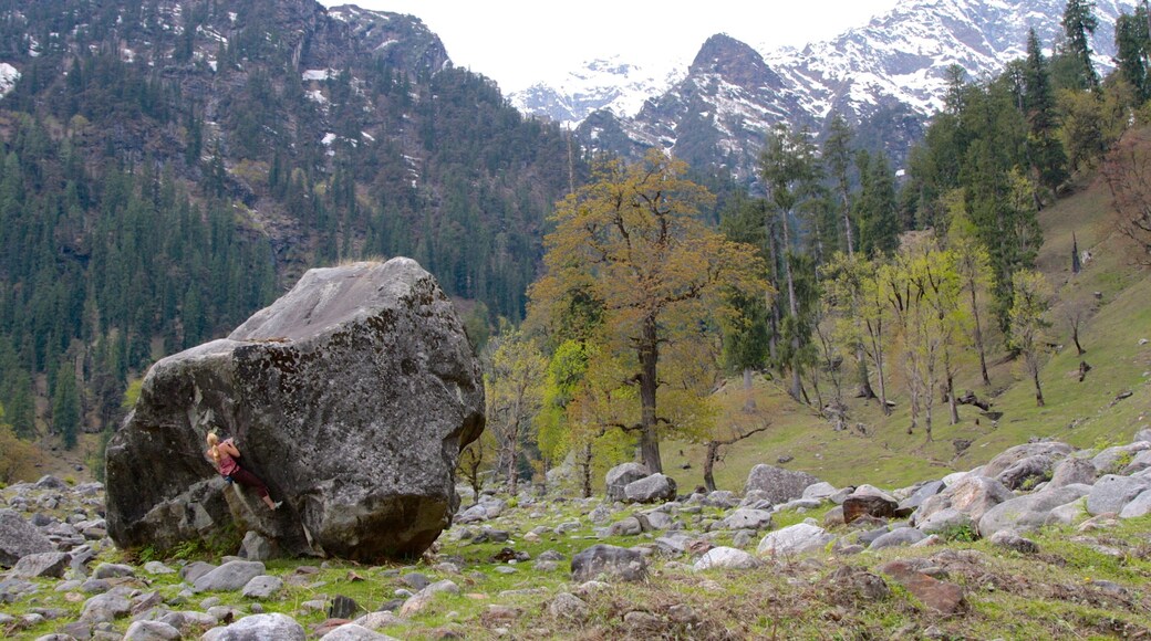 Manali showing tranquil scenes and mountains