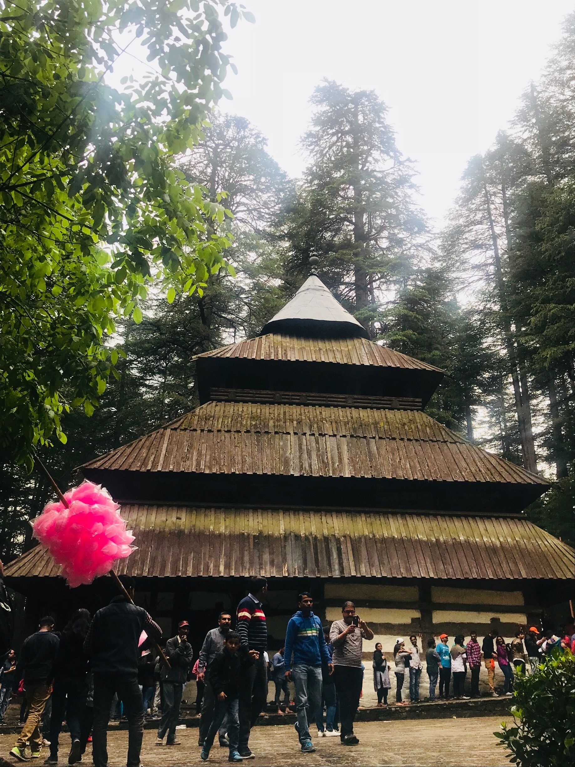 Built in 1554 AD by Raja Bahadur Singh , this famous temple is located in Manali.. 
