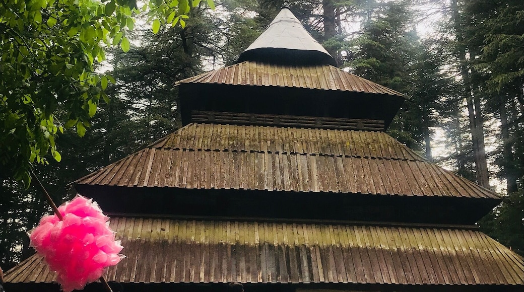 Built in 1554 AD by Raja Bahadur Singh , this famous temple is located in Manali..