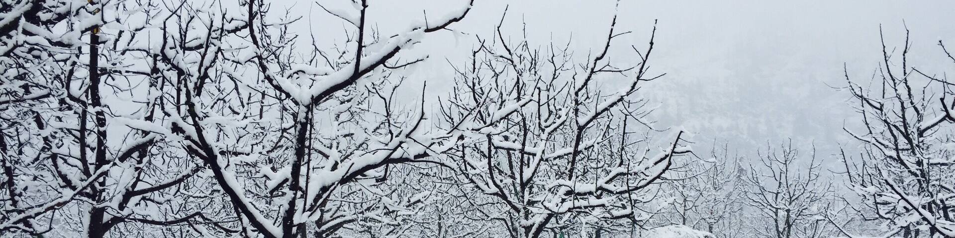 Nature nature heaven and Himalayas ❤️