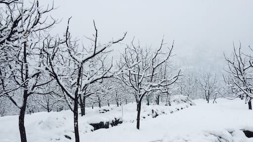 Nature nature heaven and Himalayas ❤️