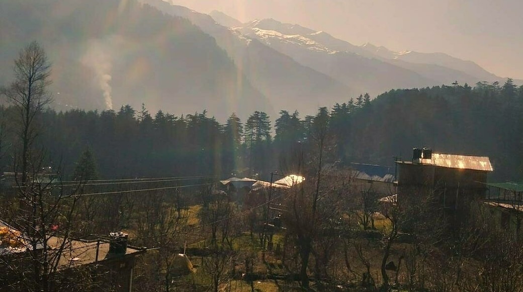View from my room in Orchards House, Manali - a perfect place to soak in the beauty of Himalayas!
.
#oldmanali #mountainsinindia #orchardshouse #comfortzone