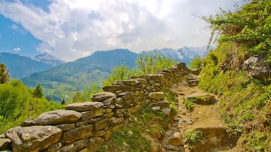 A stone pathway winding through a mountainous landscape with lush greenery and distant snow-capped peaks.