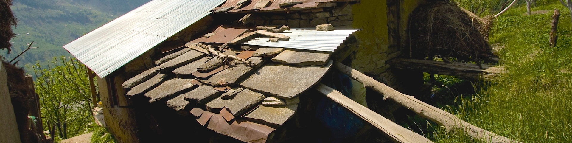 ๋ง๋ ๋ฆฌ ์ ํน์ง ํ์ ํ ํ๊ฒฝ