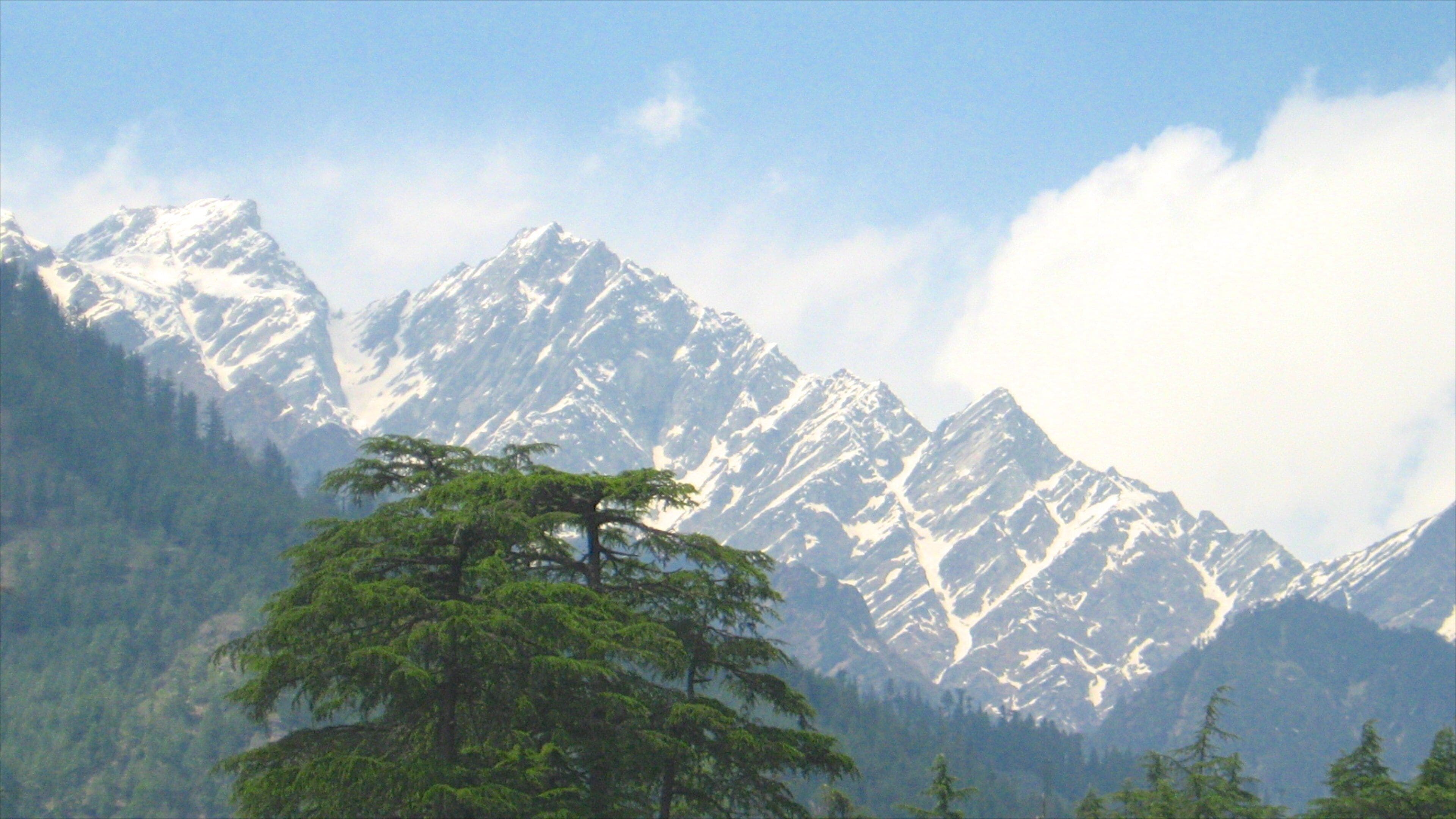 Manali showing mountains and snow