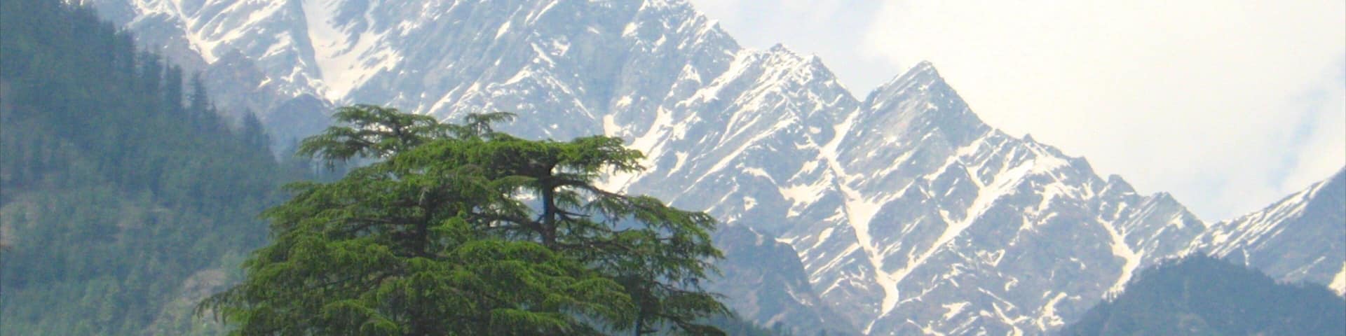 Manali showing mountains and snow