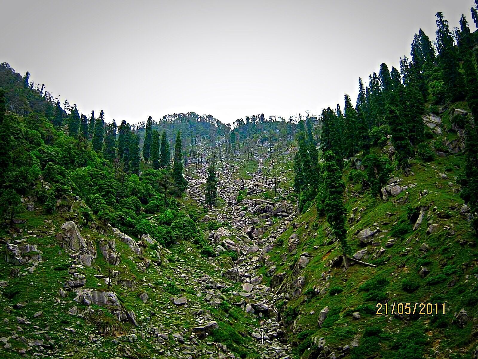 In the middle of nowhere. Trekking in search of our 3rd camp. Greenery all around.fell in love with nature😀
#hiking