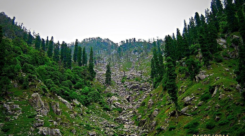 In the middle of nowhere. Trekking in search of our 3rd camp. Greenery all around.fell in love with nature😀
#hiking