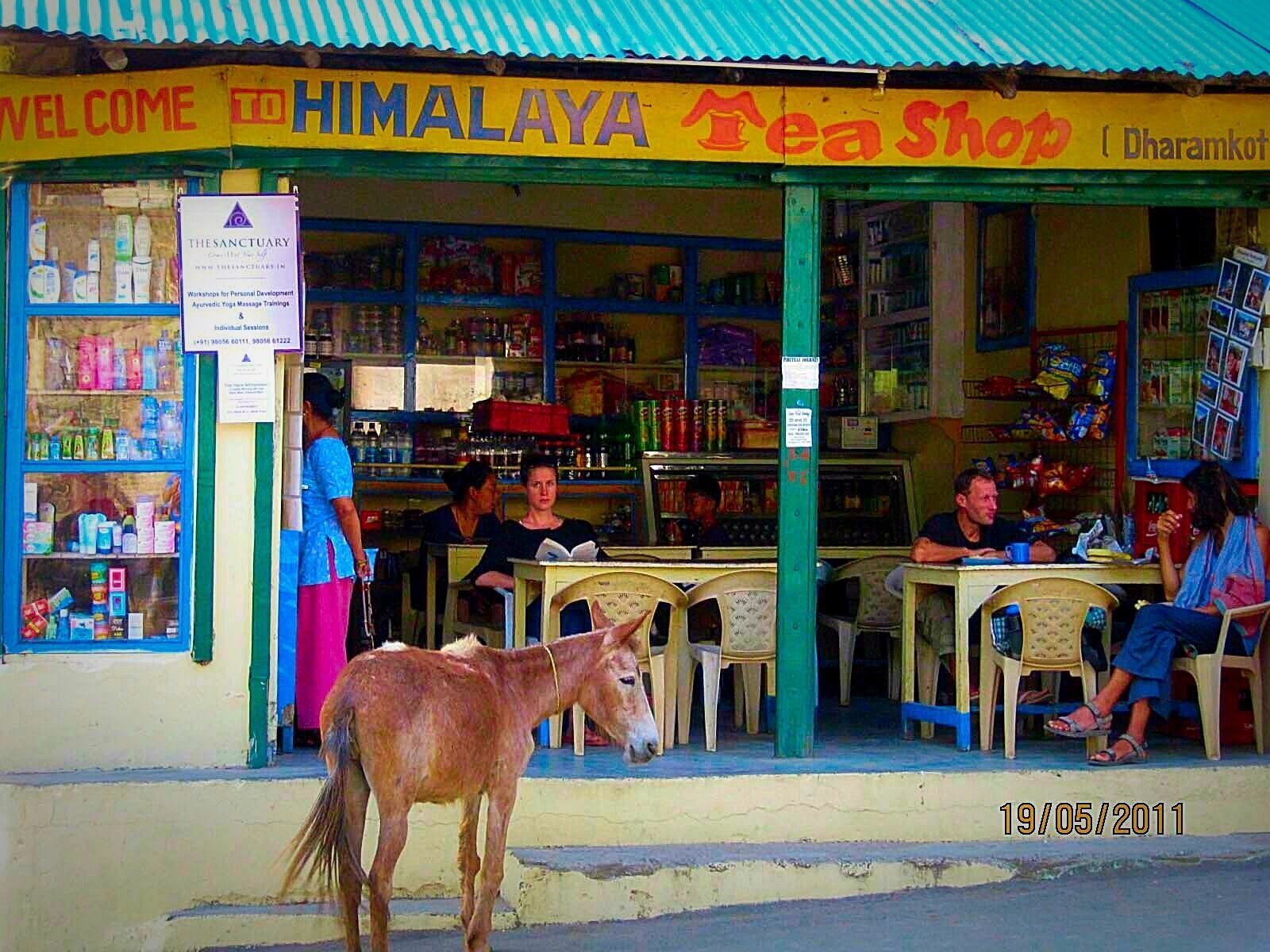 #market
There is nothing like a hot bowl of maggi n nice tea for breakfast in the midst of the beautiful himalayas. #Donkey is just a complimentary package…:)