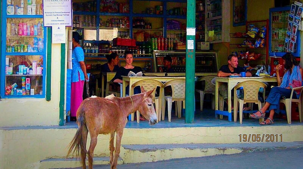 #market
There is nothing like a hot bowl of maggi n nice tea for breakfast in the midst of the beautiful himalayas. #Donkey is just a complimentary package…:)