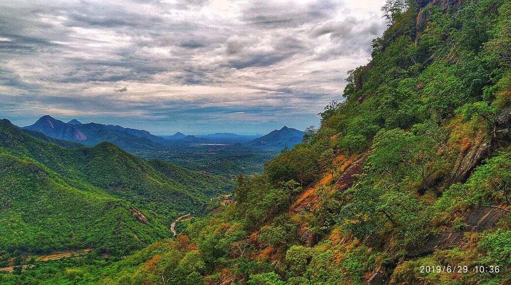 On the way to Araku Valley. It was shot from the train.