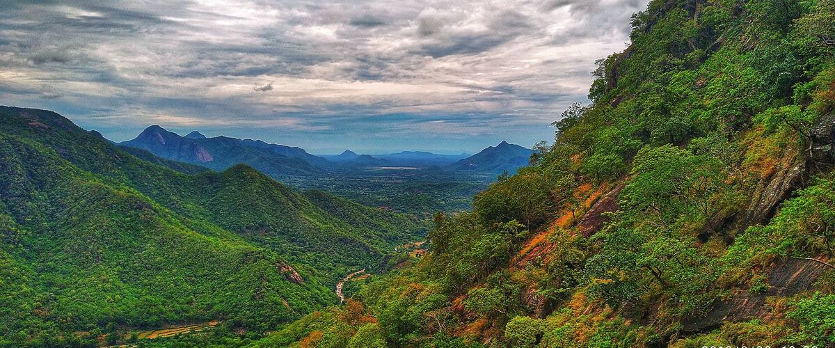 A mountainous landscape with dense green forests and a winding path.