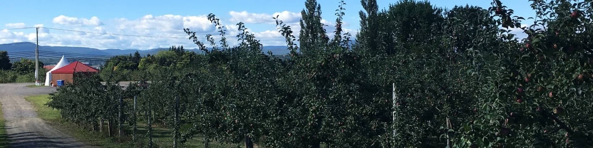 Very pretty little village on Ile d’Orleans. The orchards are very worth it.