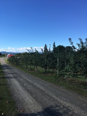 Very pretty little village on Ile d’Orleans. The orchards are very worth it.