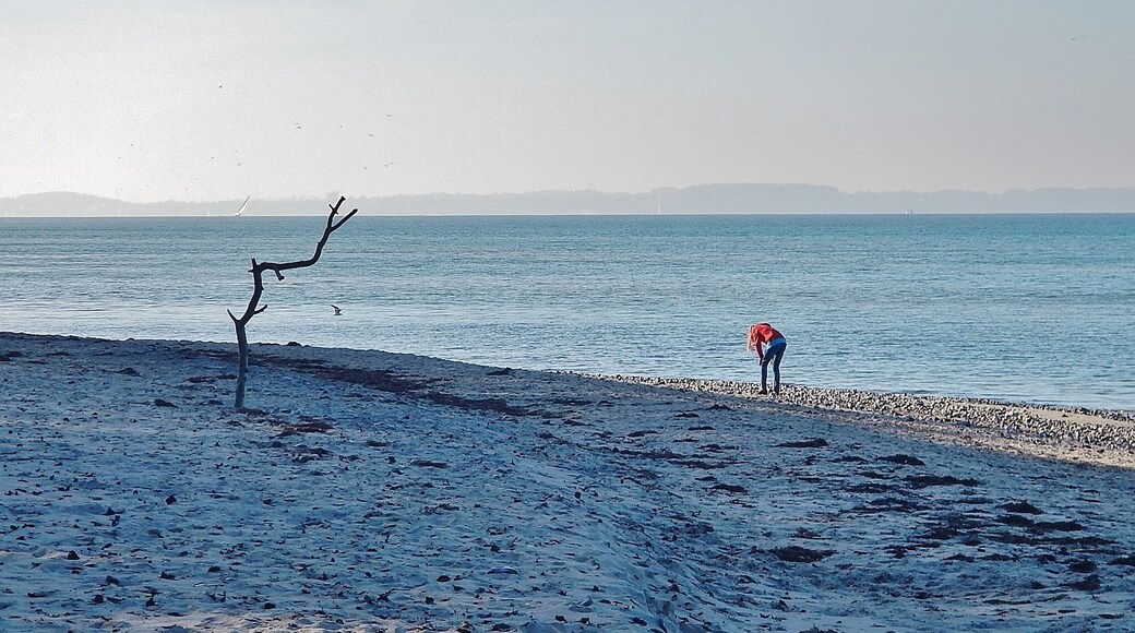 Ostseestrand bei Kalkhorst