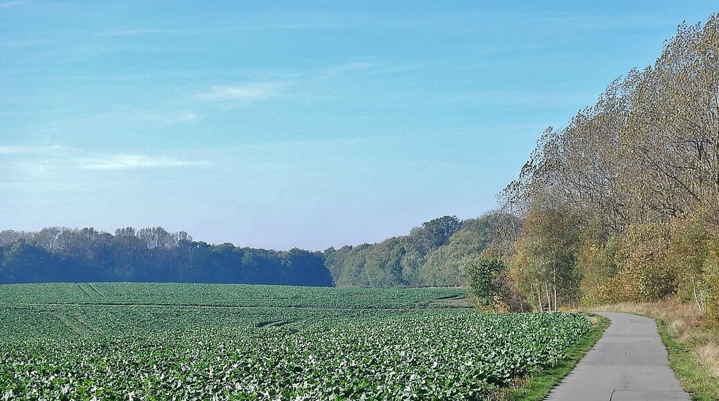 Ostseeküstenradweg vom Lübeck-Travemünde nach Mecklenburg-Vorpommern