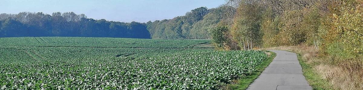 Ostseeküstenradweg vom Lübeck-Travemünde nach Mecklenburg-Vorpommern