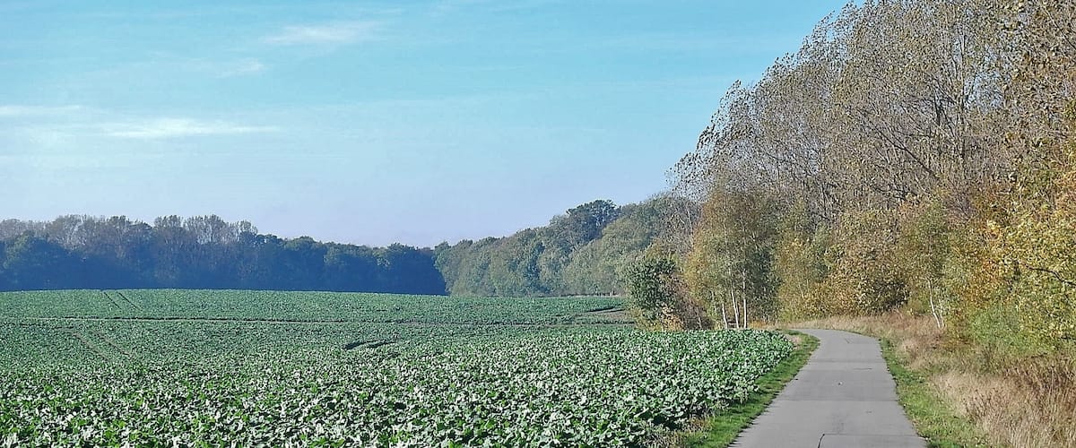 Ostseeküstenradweg vom Lübeck-Travemünde nach Mecklenburg-Vorpommern