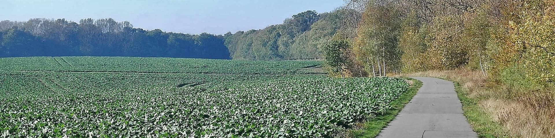 Ostseeküstenradweg vom Lübeck-Travemünde nach Mecklenburg-Vorpommern