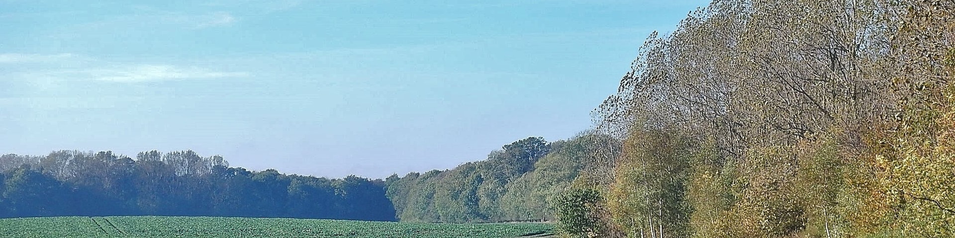 Ostseeküstenradweg vom Lübeck-Travemünde nach Mecklenburg-Vorpommern